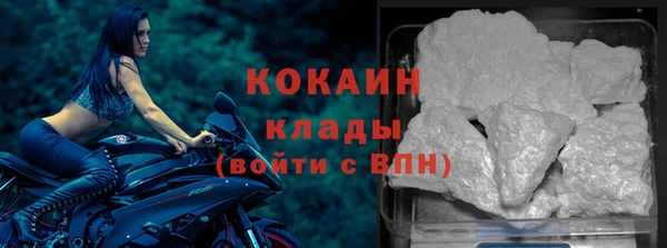гидра Дмитров
