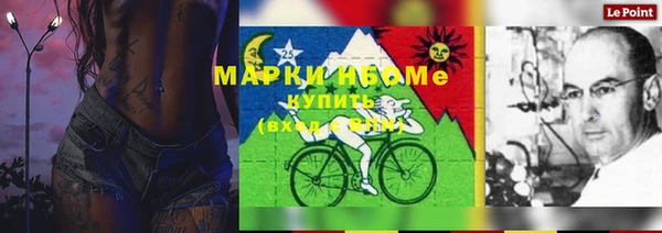 гидра Дмитров