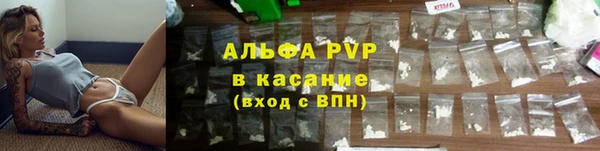 гидра Дмитров